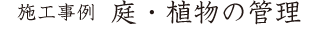 樹木の剪定／庭の管理