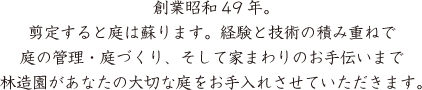 創業昭和49年。剪定すると庭は蘇ります。経験と技術の積み重ねで庭の管理・庭づくり、そして家まわりのお手伝いまで林造園があなたの大切な庭をお手入れさせていただきます。